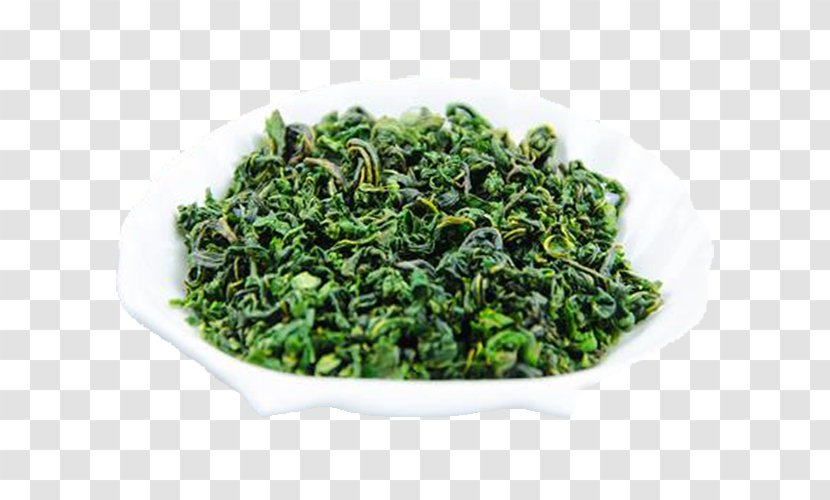Tea Mulberry Lo Mai Gai Mxfbre Chenpi - Green Leaves Transparent PNG