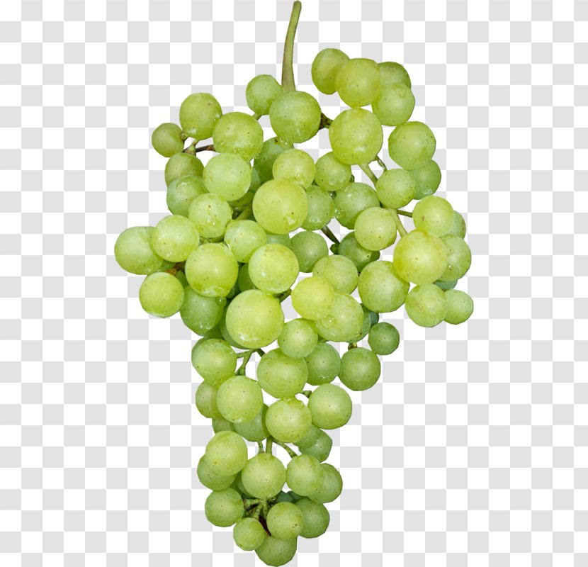 Sultana Verjuice Seedless Fruit Grape - Grapevine Family Transparent PNG