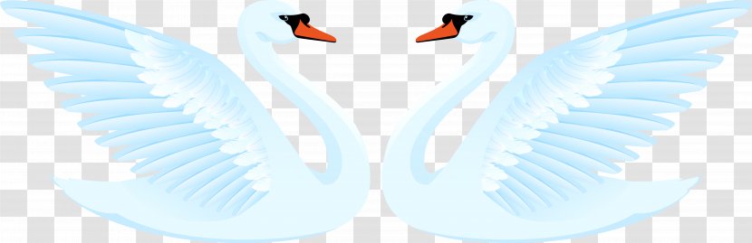 Wing Bird Duck Goose Cygnini - Vector One Pair Of Light Blue Swan Transparent PNG