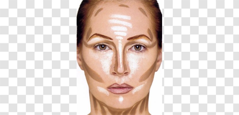 Contouring Cosmetics Foundation Concealer Face Powder - Cream - Contour Transparent PNG