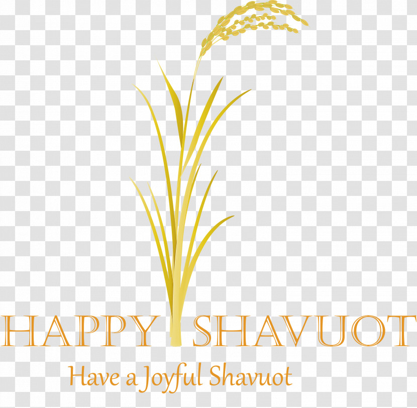 Happy Shavuot Shavuot Shovuos Transparent PNG