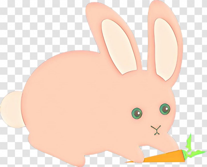 Domestic Rabbit Hare Easter Bunny Whiskers - Cartoon - Rabbits And Hares Transparent PNG