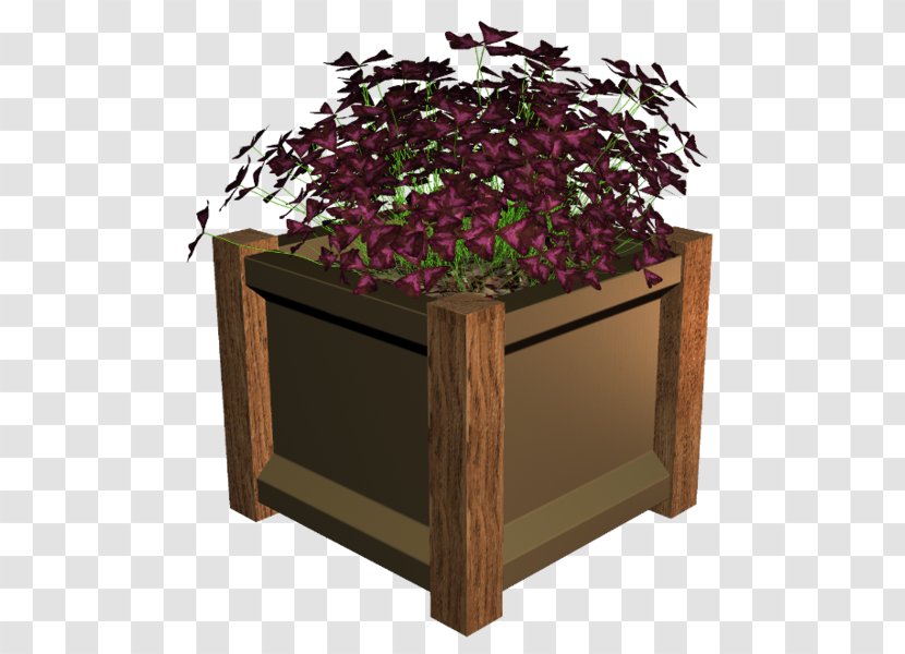 Flowerpot Plant Rectangle Transparent PNG