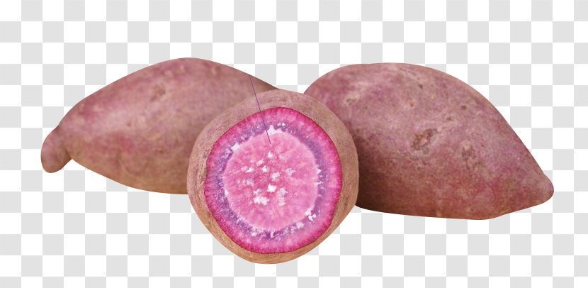 Vitelotte Beetroot Vegetable Purple - Specialty Vegetables Potato Transparent PNG