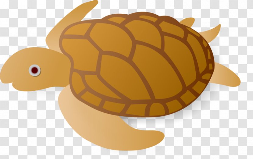 Sea Turtle Tortoise Pond Turtles Cartoon Transparent PNG