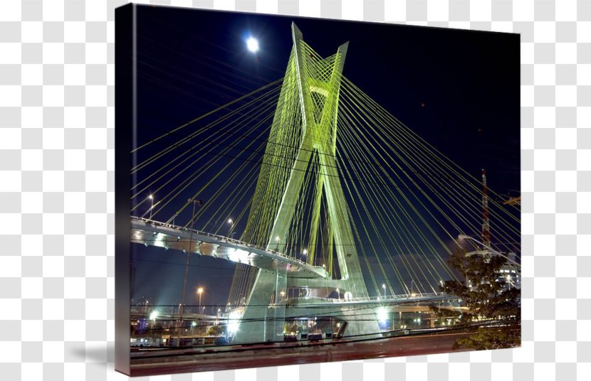 Cable-stayed Bridge Octávio Frias De Oliveira Bridge–tunnel Suspension - Electrical Cable Transparent PNG