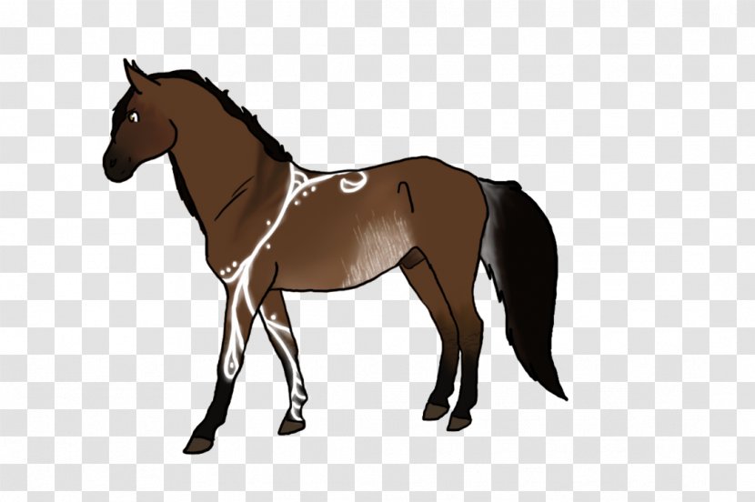 Horse Cartoon - Liver - Supplies Tail Transparent PNG