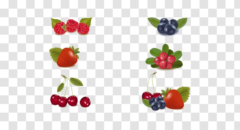 Milkshake Berry Fruit - Raspberry - Strawberry Cherry Blueberry Transparent PNG