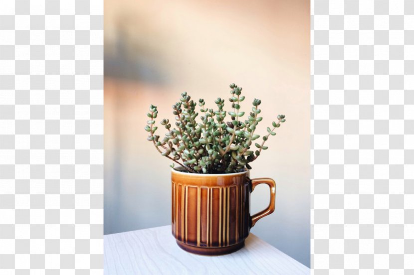 Coffee Cup Ceramic Flowerpot Transparent PNG