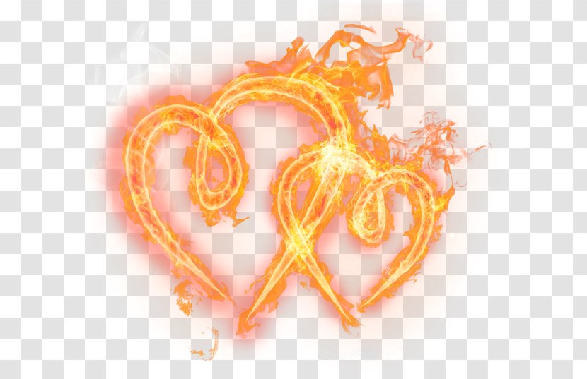 Fire Flame Clip Art - Heart Transparent PNG