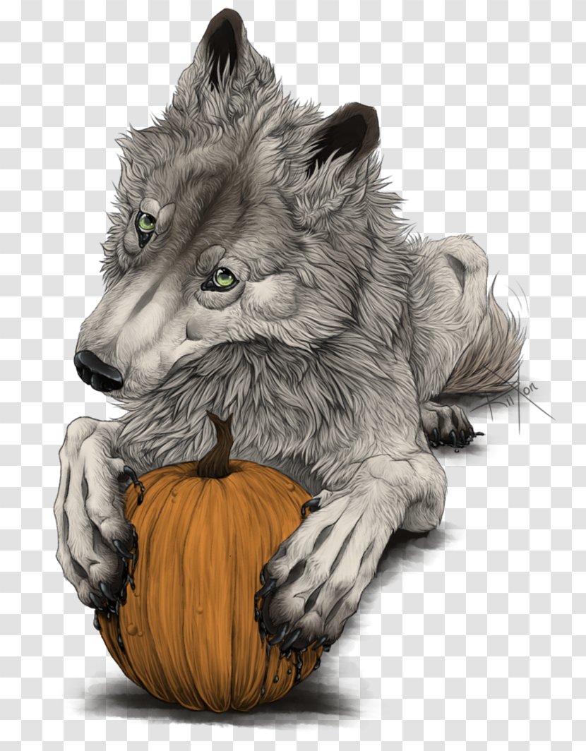 Gray Wolf Cat Whiskers Fur Snout - Like Mammal - Happy Halloween Transparent PNG