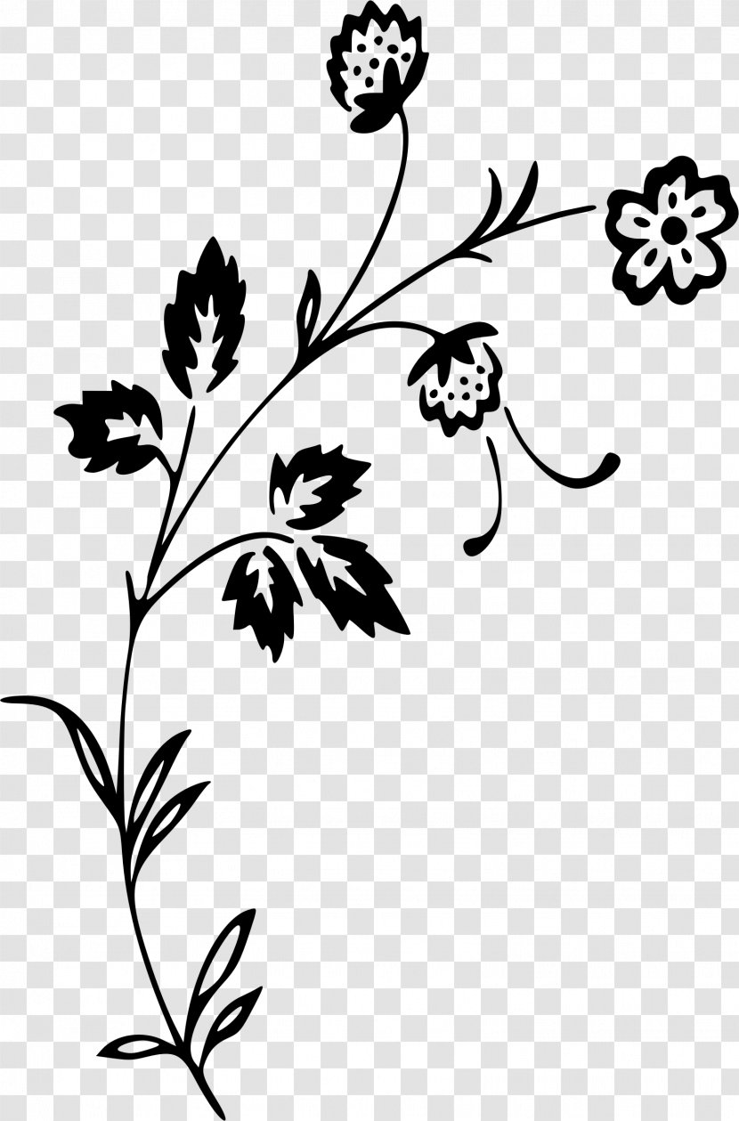 Clip Art - Line - Chrysanthemum Flowers Transparent PNG
