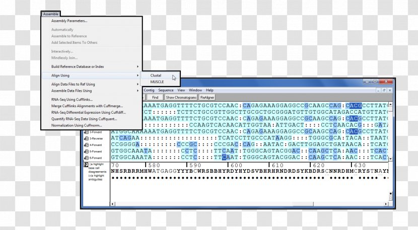 Computer Program Paper Engineering Line - Operating Systems Transparent PNG