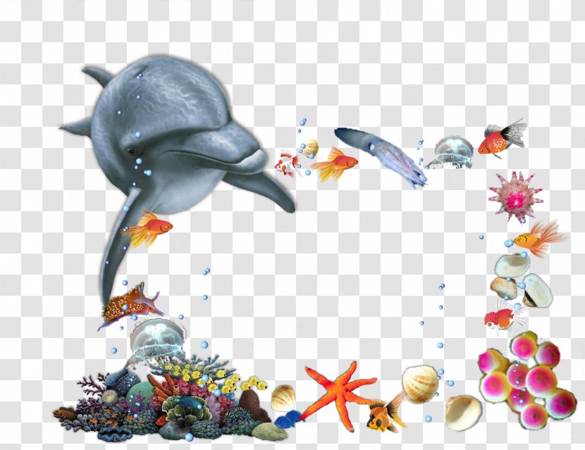 Child Picture Frames Birthday Kindergarten - Parenting - Sea Animals Transparent PNG