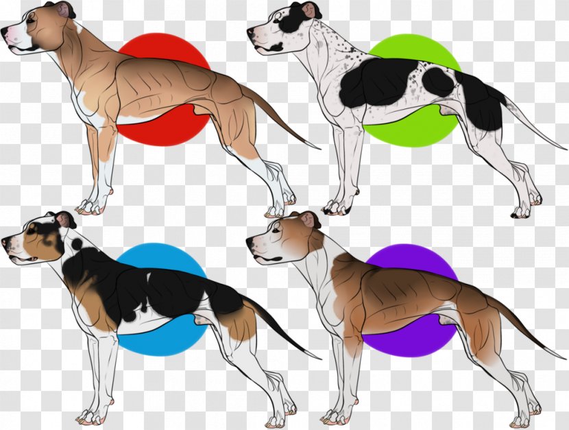 Whippet Italian Greyhound Spanish English Foxhound - Dog Breed - Pit Bull Transparent PNG