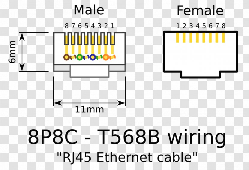 Category 5 Cable Wiring Diagram 8P8C Electrical Connector Ethernet - Area - Cat5 Transparent PNG