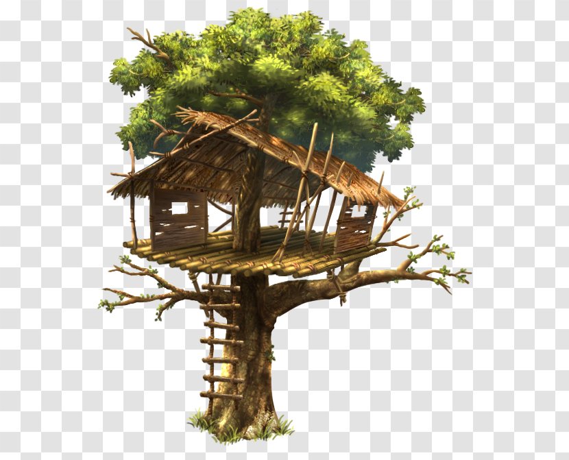 Tree House Branch Wood - District Heights Transparent PNG