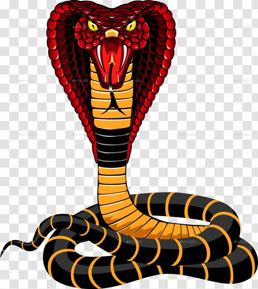 Snake Vipers Indian Cobra King - Vertebrate - Snakes Transparent PNG