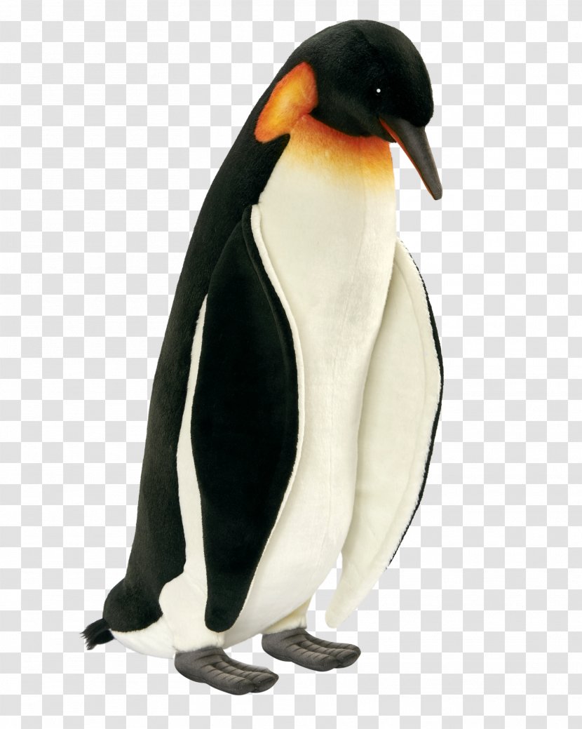 King Penguin Neck Beak - Emperor Transparent PNG