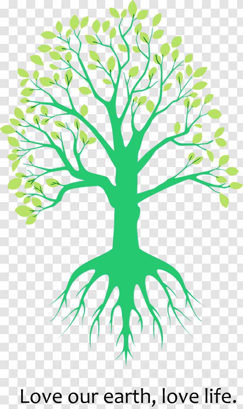 Green Root Leaf Plant Tree Transparent PNG