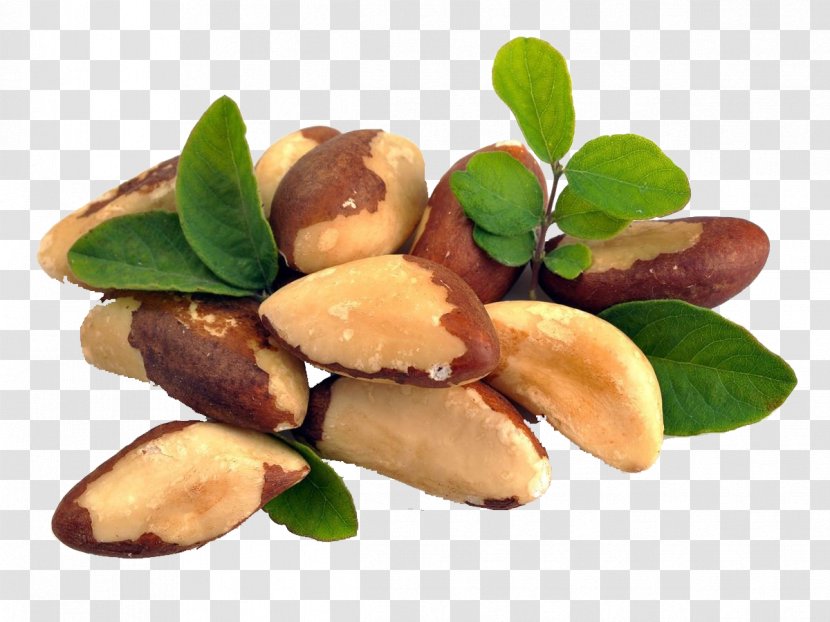 Brazil Nut Food Health Amazon Rainforest - Mineral - Realistic Different Nuts Transparent PNG