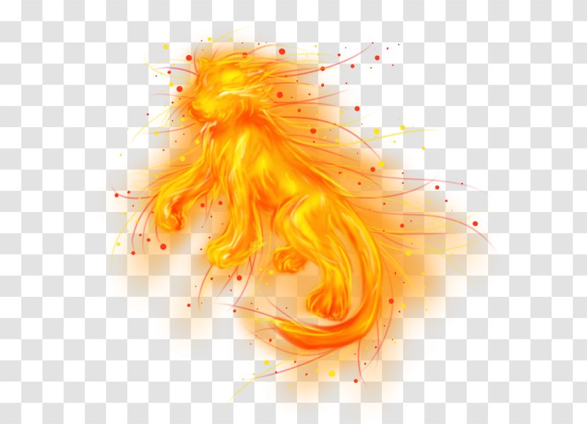 Desktop Wallpaper Computer Organism - Orange - Fire Tiger Transparent PNG