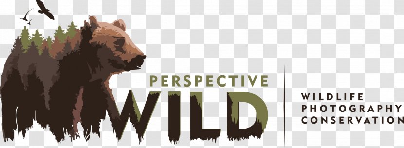 Wildlife Photography Logo Photographer - Bear Transparent PNG