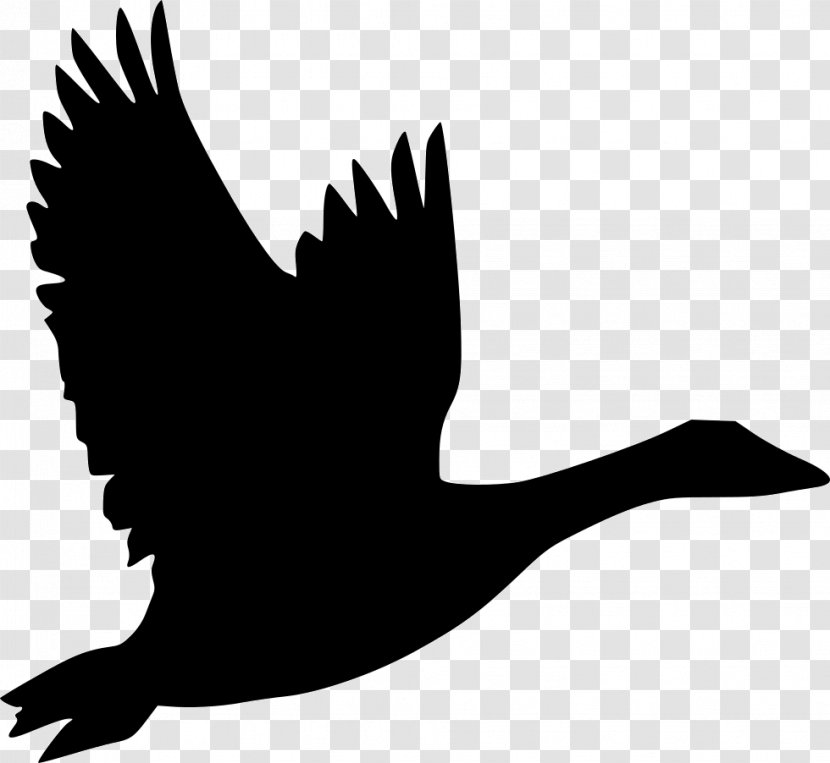 Bird Goose Flight Duck Clip Art - Wing Transparent PNG