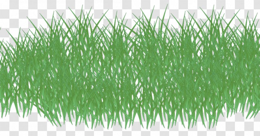 Vetiver Wheatgrass Google+ - Grass Family - Asterix And Obelix Transparent PNG