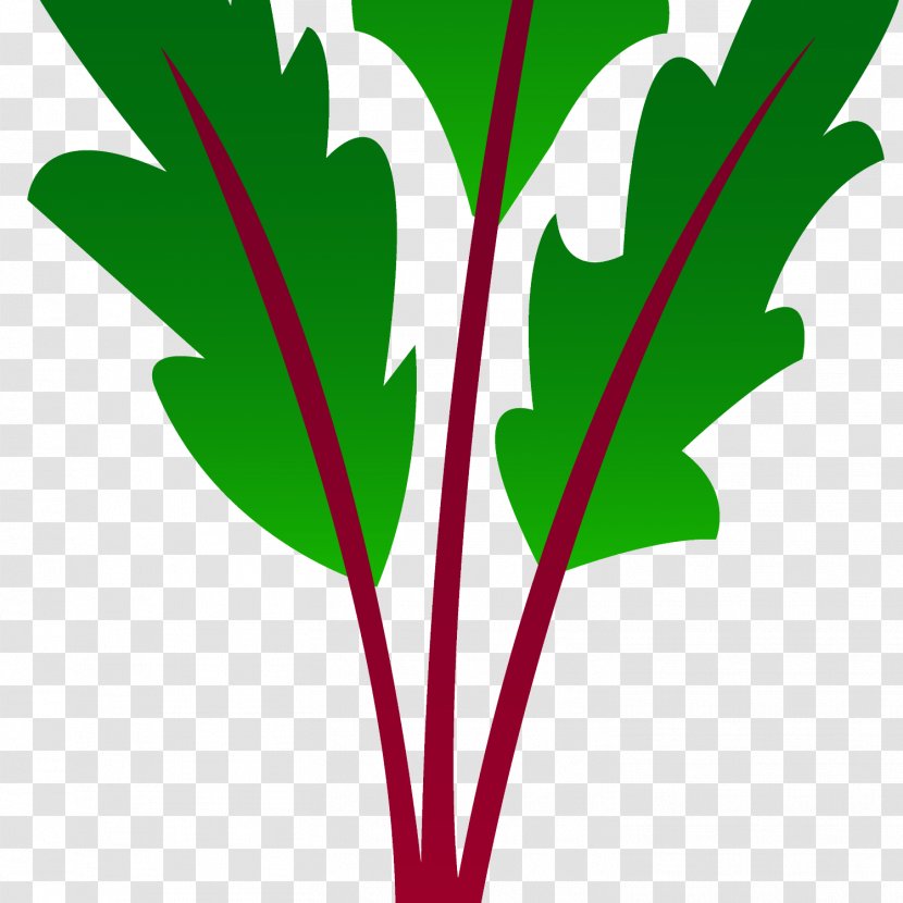 Beetroot Vegetable Tomato Clip Art - Leaf Transparent PNG