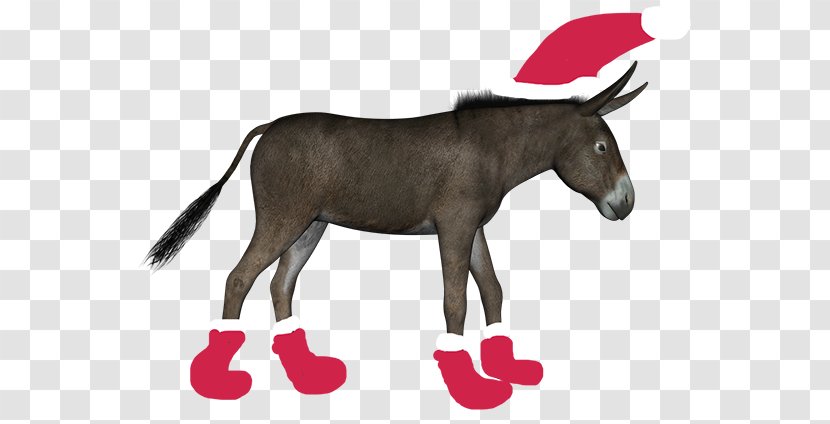 Donkey Mule Clip Art Horse - Snout Transparent PNG
