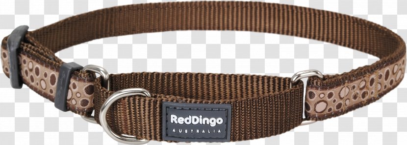 Dog Collar Dingo Leash - Watch Accessory Transparent PNG