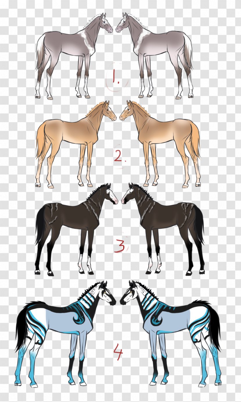 Mule Foal Stallion Mare Colt - Halter - New Year Sale Transparent PNG