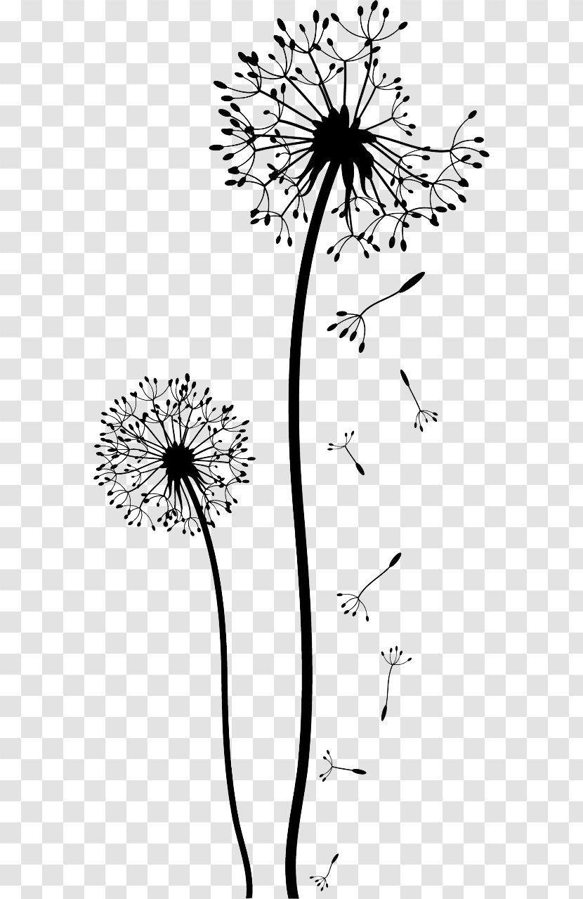 Dandelion White Painting (Three Panel) Drawing Pissenlit Clip Art - Free Falling Pull Material Transparent PNG