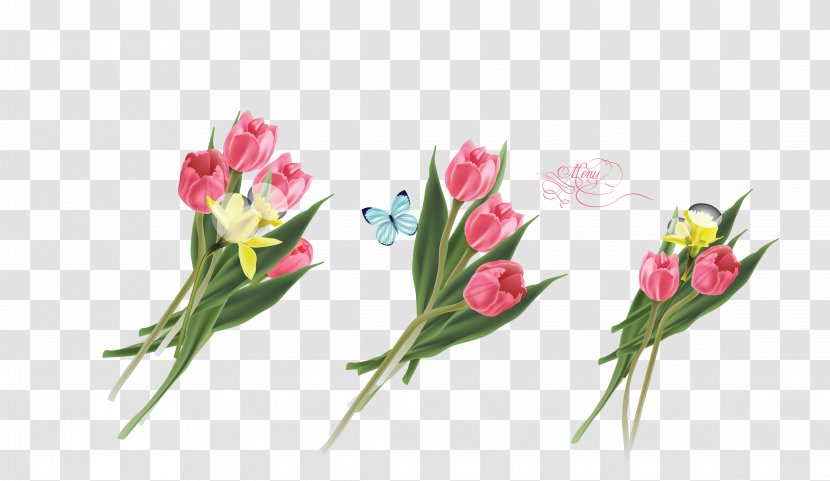 Tulip Flower Lilium - Vector Colored Three Lily Flowers Transparent PNG