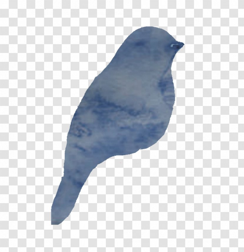 American Sparrows Cobalt Blue Beak Feather Transparent PNG