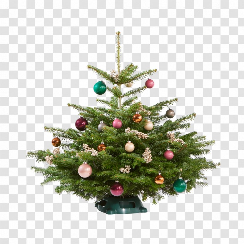 Christmas Tree Spruce Ornament Pine Transparent PNG