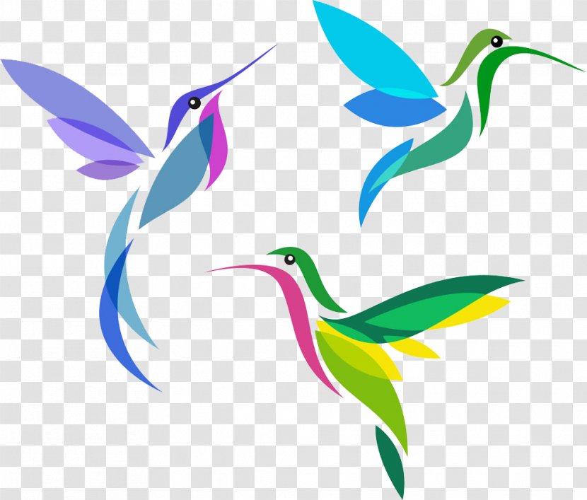 Hummingbird Cross-stitch Pattern - Feather - Color Creative Peak Bird Transparent PNG