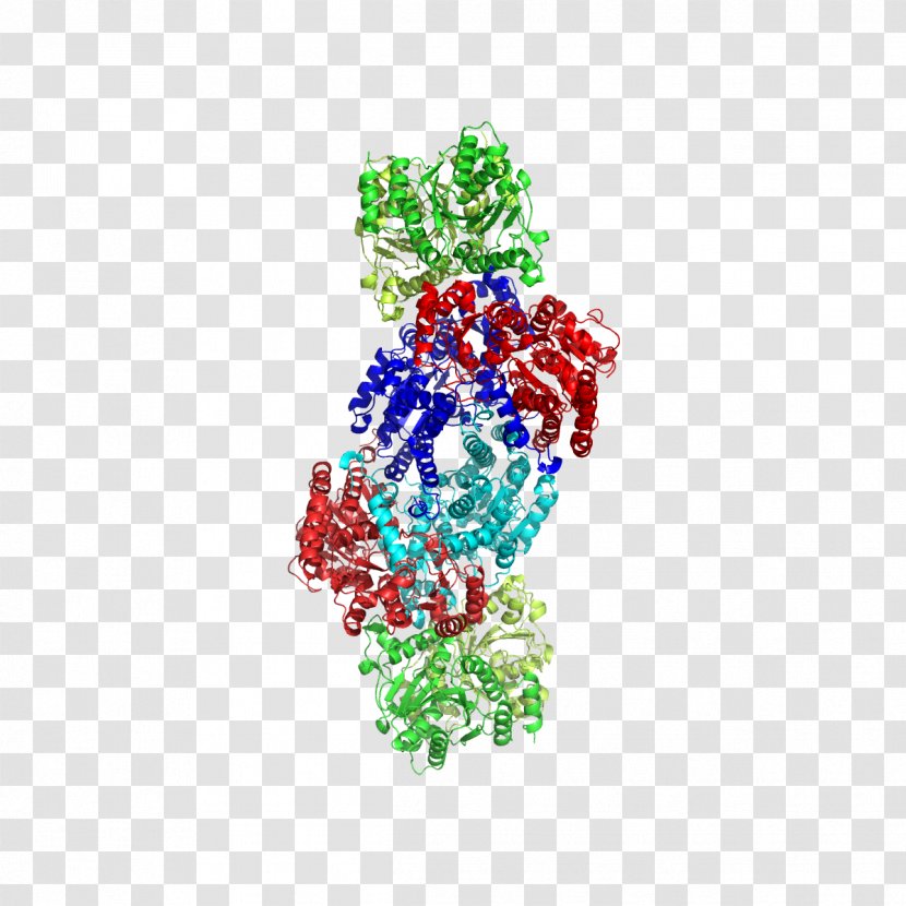 Nitrogenase Enzyme Nitrogen Fixation Ammonia - Bacteria Transparent PNG