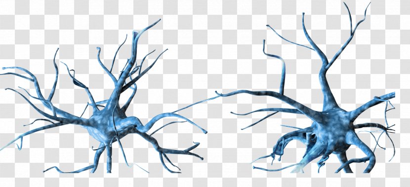 Neuron Nervous System - Tree - Holographic Transparent PNG