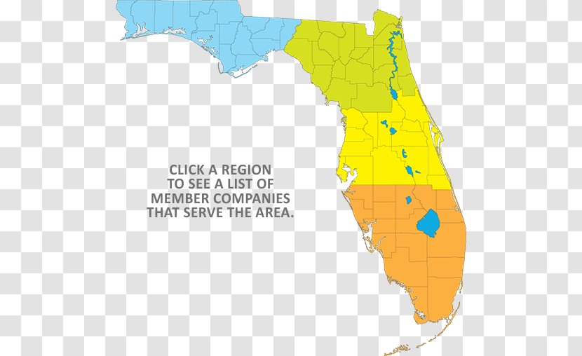 Florida Topographic Map Topography Road Transparent PNG