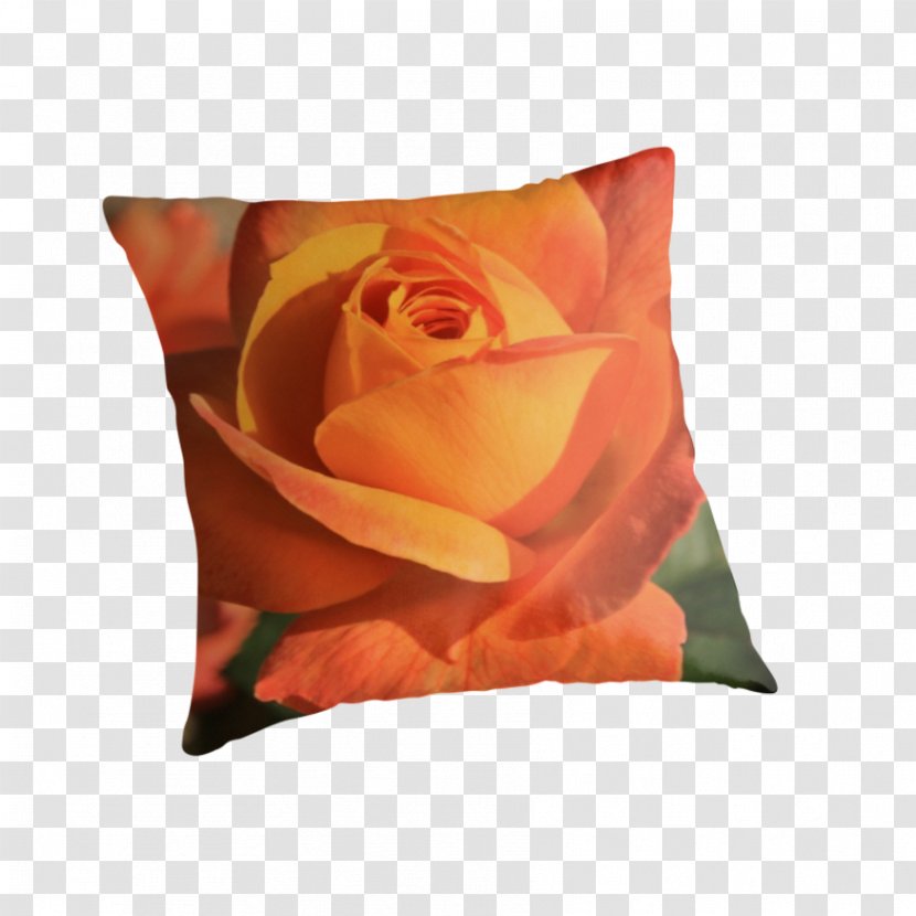 Garden Roses Throw Pillows Cushion - Peach - Pillow Transparent PNG