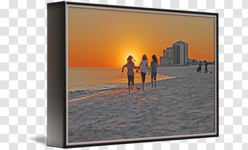 Picture Frames Vacation Sky Plc - Tree Transparent PNG