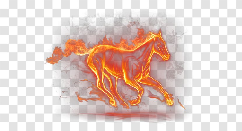 Horse Pony Llama Flame Gallop Transparent PNG