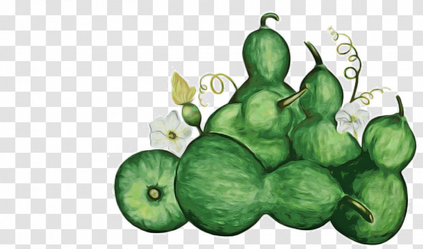 Tree Of Life - Fruit - Vegetarian Food Superfood Transparent PNG