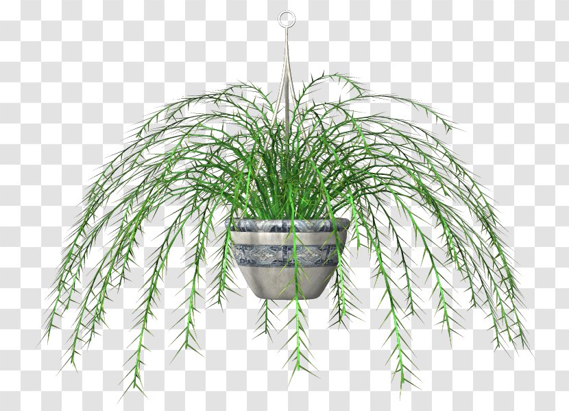 Clip Art Flowerpot Leaf Grasses - Grass - Pot Tree Transparent PNG