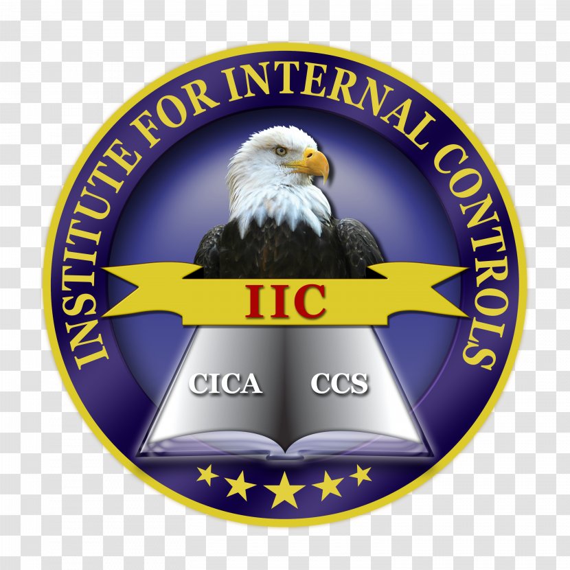 Certified Internal Control Auditors Audit Logo Emblem - 14 August Transparent PNG