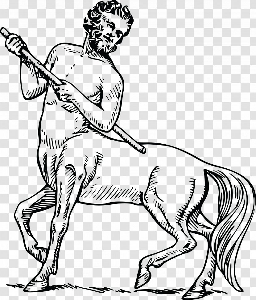 Centaur Legendary Creature Greek Mythology Firenze T-shirt - Silhouette Transparent PNG