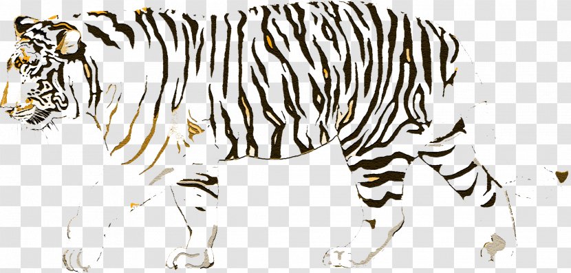 Cat Felidae Golden Tiger Bengal Siberian Transparent PNG