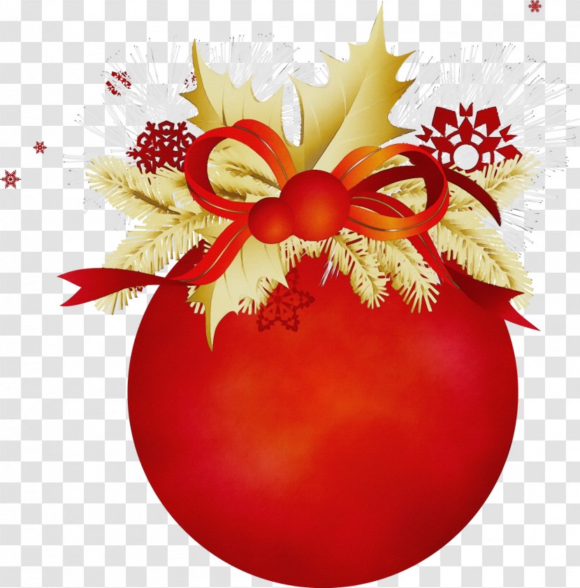 Christmas Ornament - Wet Ink - Plant Transparent PNG